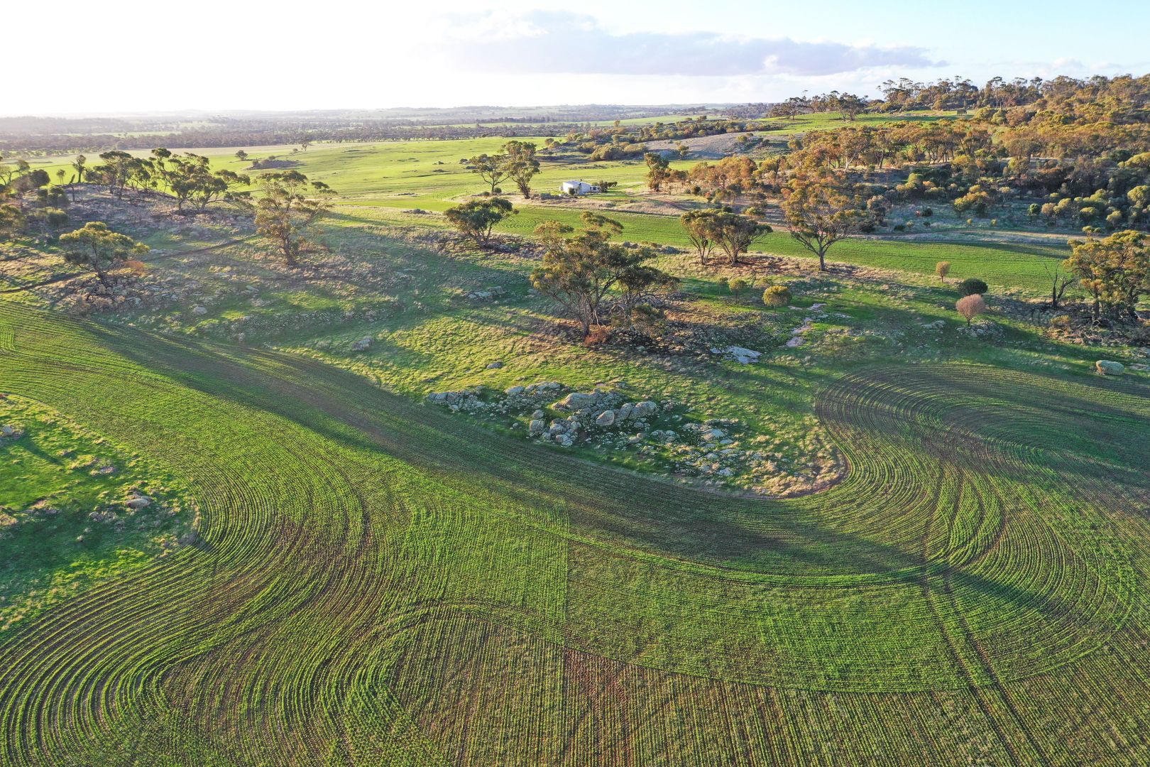 Lot 4216 Batts & Oakleigh Rds, West Popanyinning WA 6309, Image 2