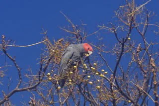 Additional image 13 of 880 Lima East Road, Lima East VIC 3673