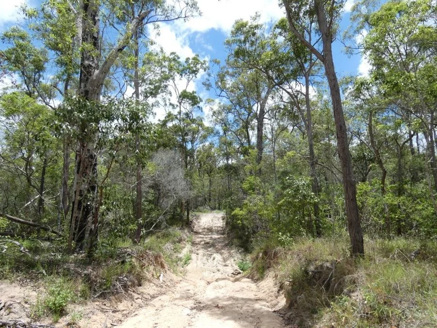 Image 21