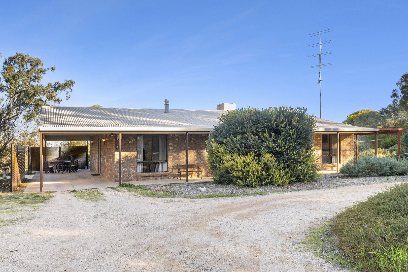 40 Bird Road, Paringa SA 5340, Image 1