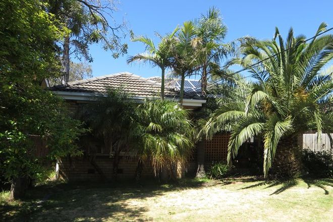 34 3 Bedroom Houses For Rent In Cheltenham Vic 3192 Domain