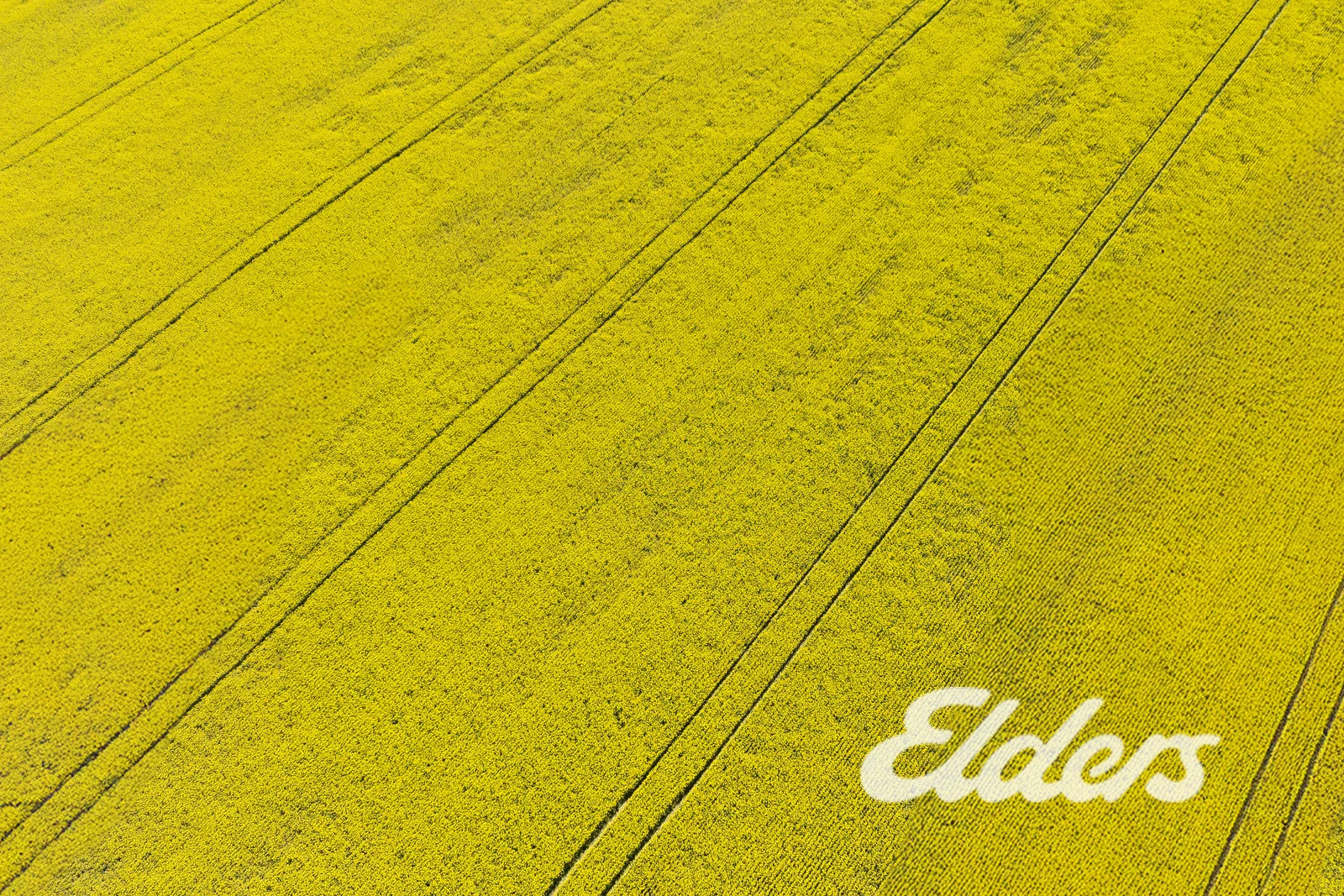 Additional image 35 of 235 Clearview Road, Savernake NSW 2646