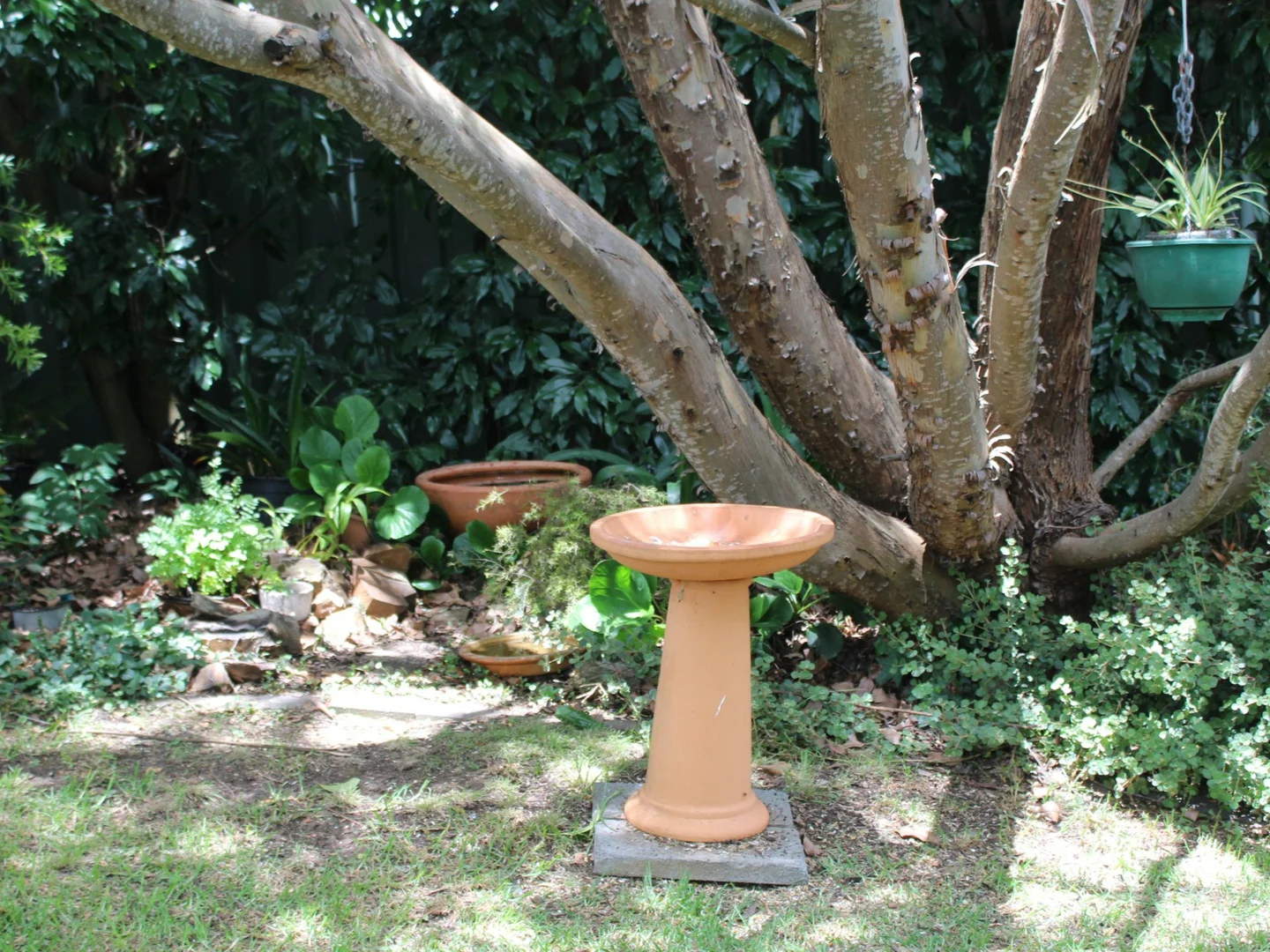 Image 31