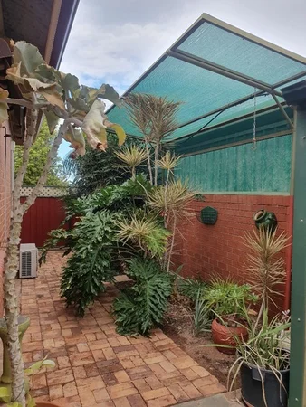 Image 13