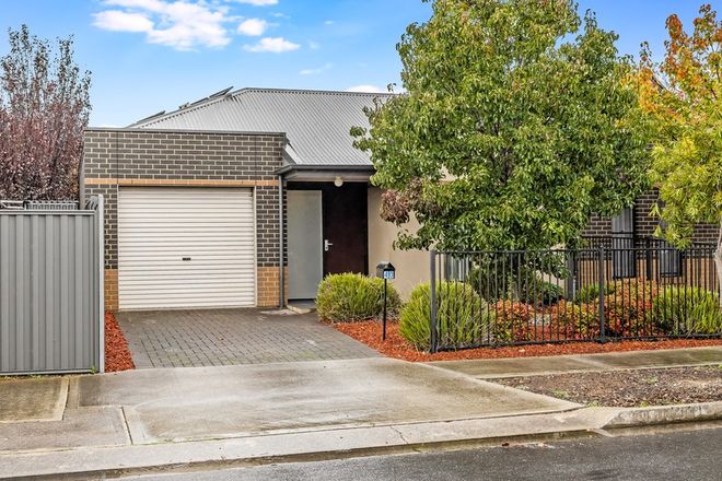 Picture of 40 Ferry Avenue, PLYMPTON PARK SA 5038