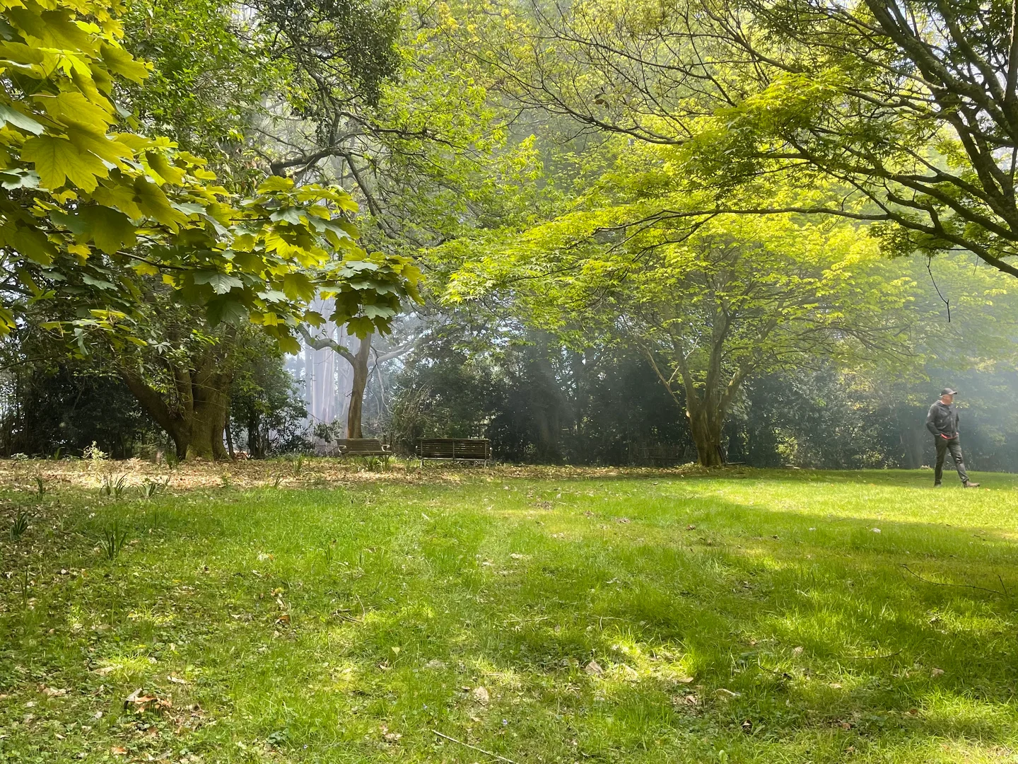 Image 25