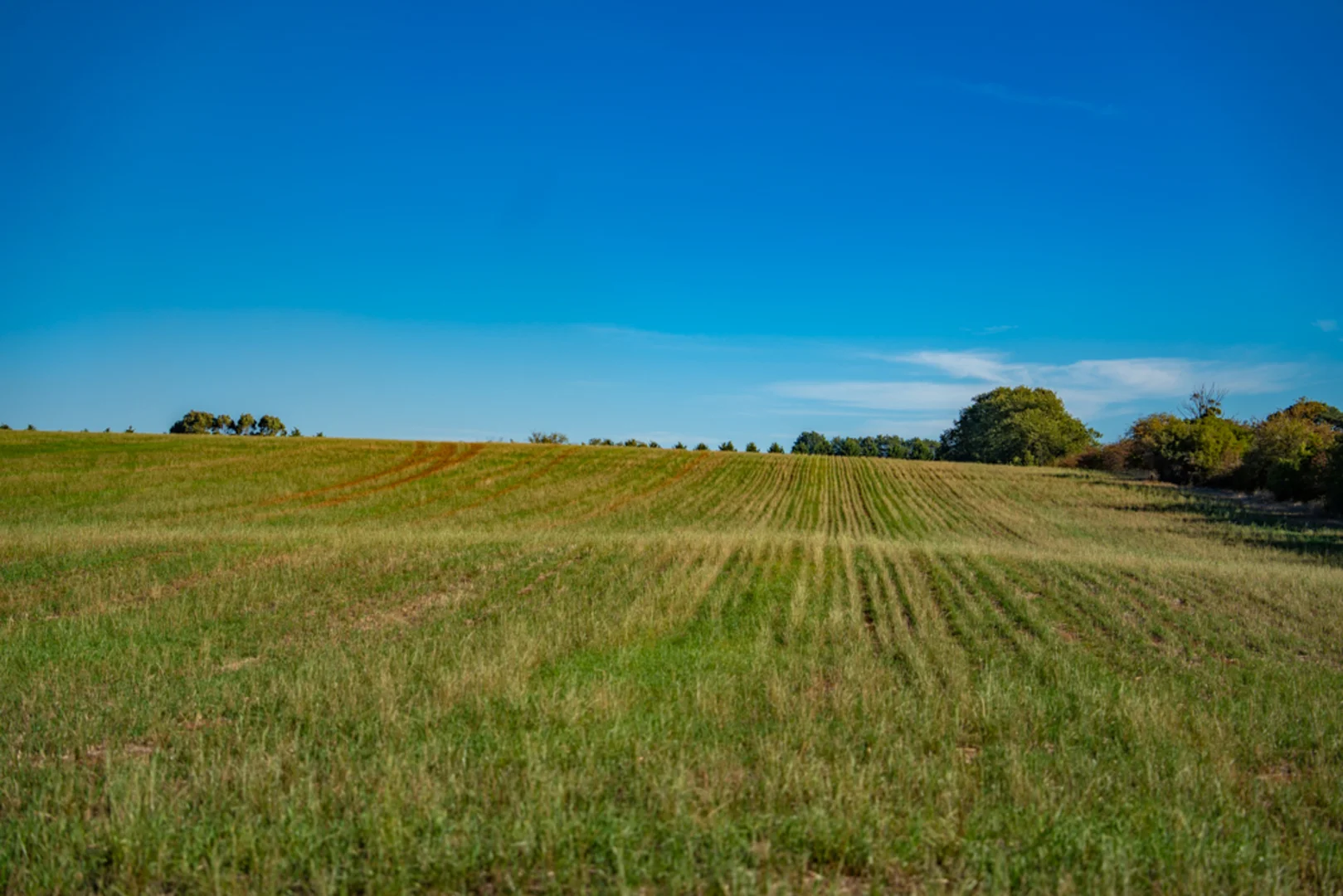 Additional image 11 of 180 Sharpes Road, Miners Rest VIC 3352