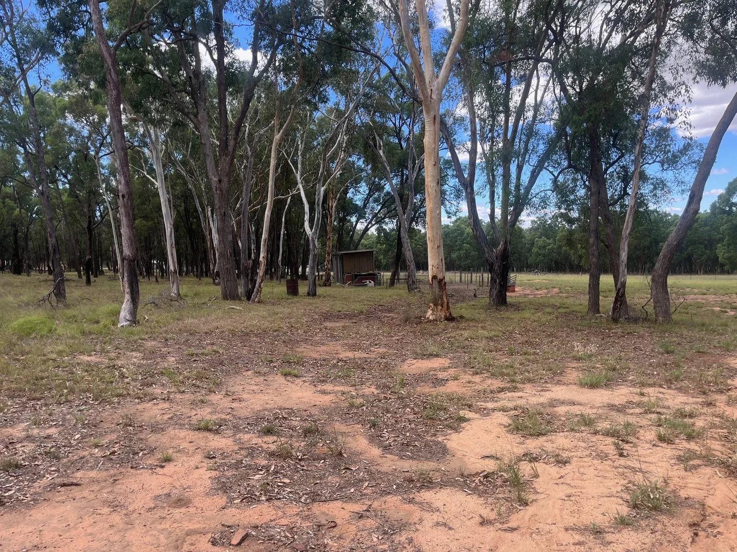 Image 30