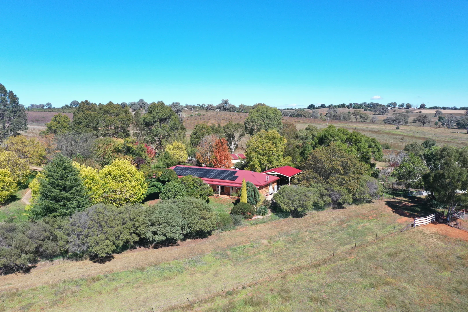 Additional image 4 of 216 Good Friday Gully Road Maimuru via, Young NSW 2594