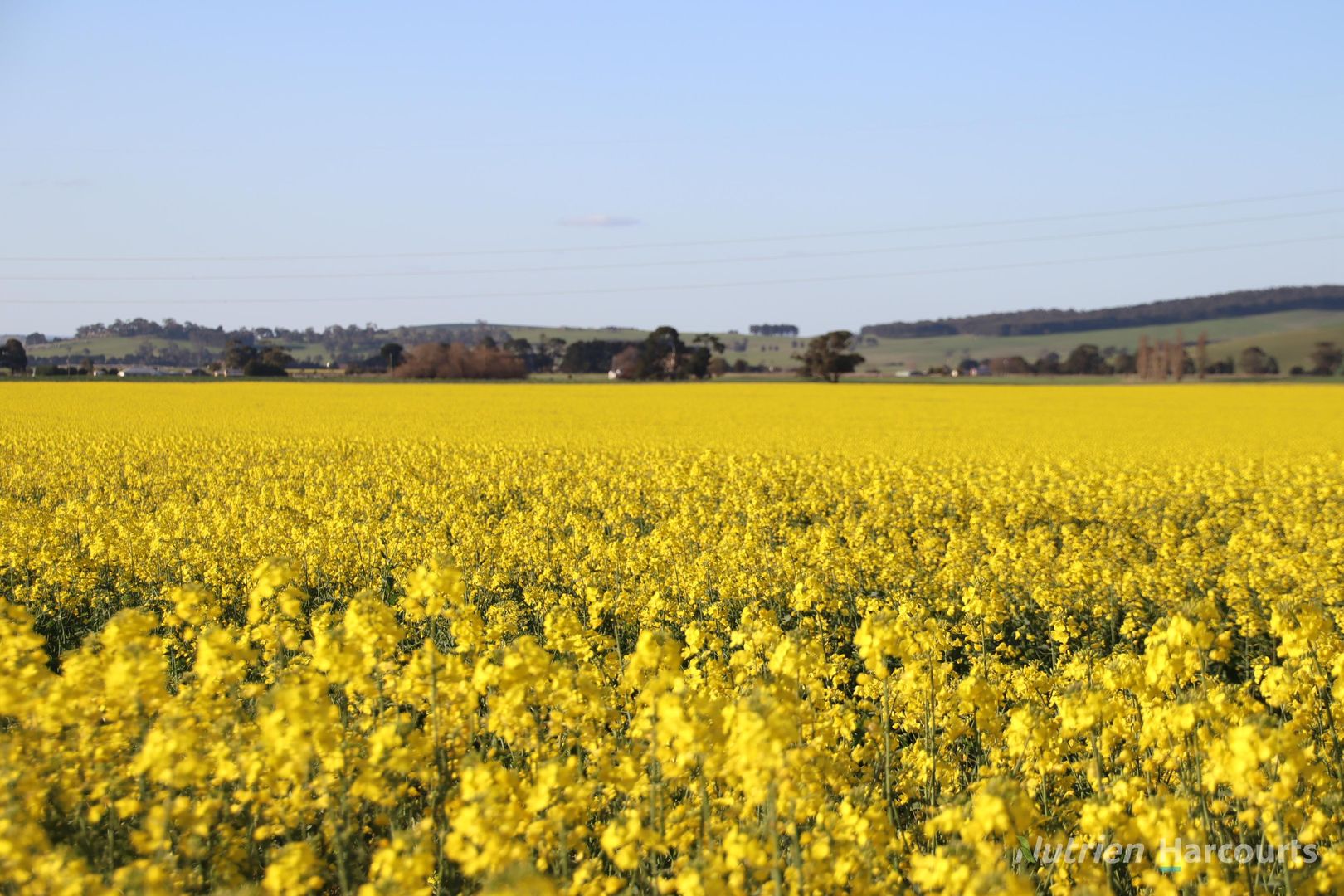 Lot 6/1012 Beaufort-Waubra Road, Waubra VIC 3352, Image 2