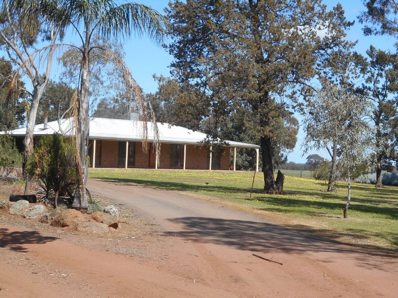 "GREEN HILLS", Berrigan NSW 2712, Image 0