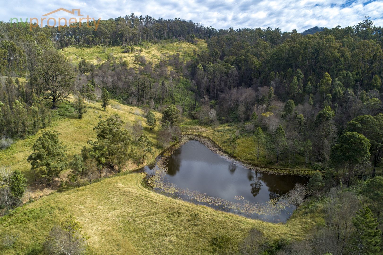 77 Whip Mountain Road, Yarranbella NSW 2447, Image 1