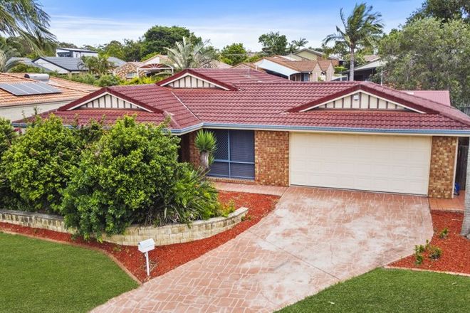 Picture of 7 Kenny Court, WAKERLEY QLD 4154