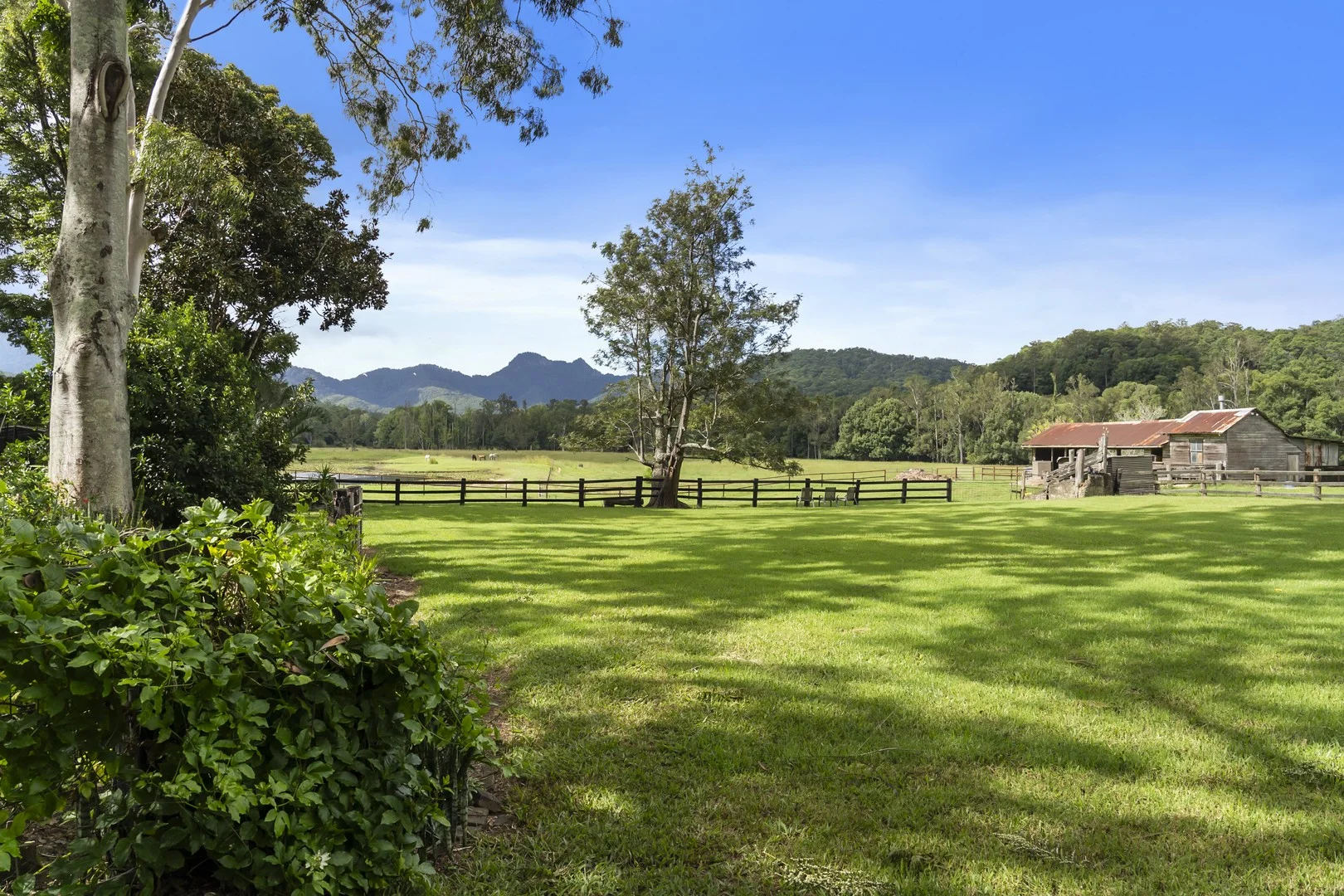 160 Upper Crystal Creek Road, Upper Crystal Creek NSW 2484