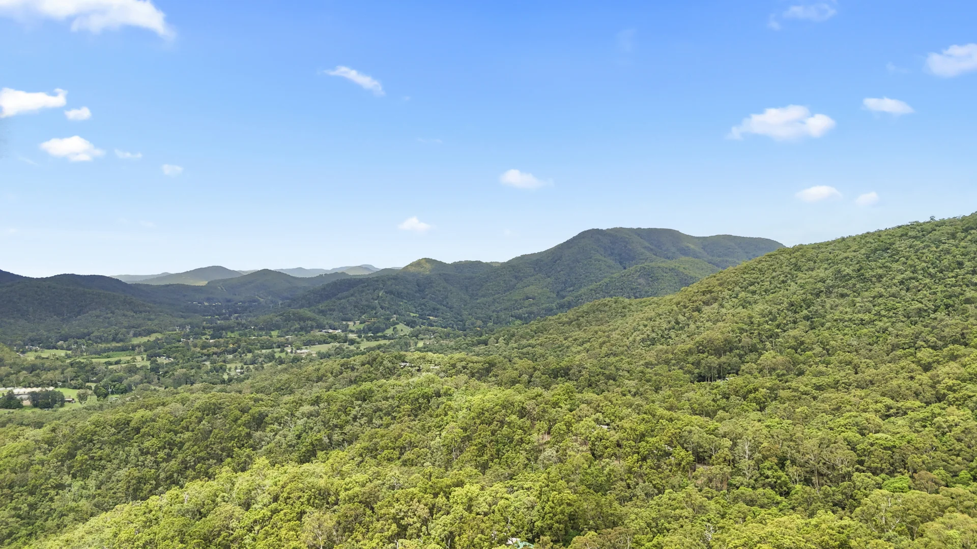 Additional image 37 of 14 King Parrot Court, Clagiraba QLD 4211