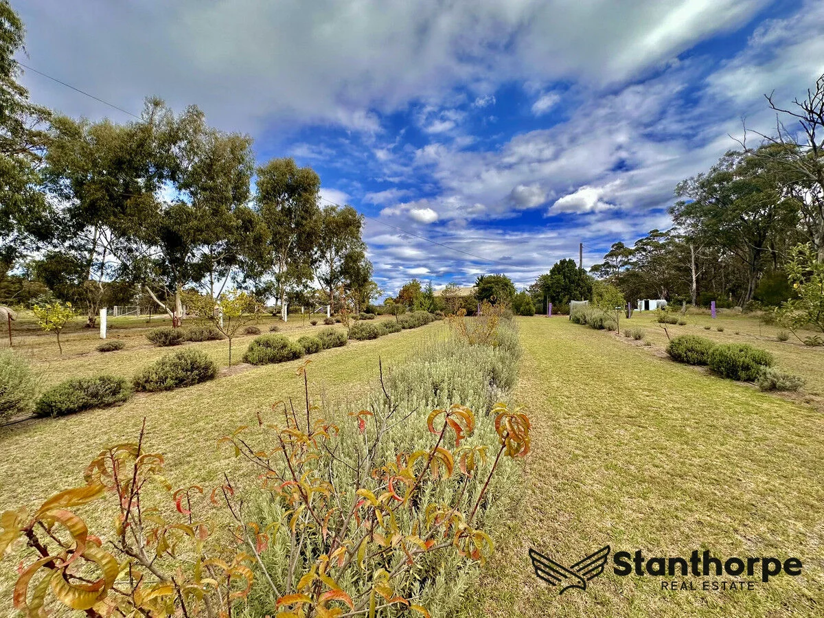 Additional image 33 of 553 Donnellys Castle Road, Pozieres QLD 4352