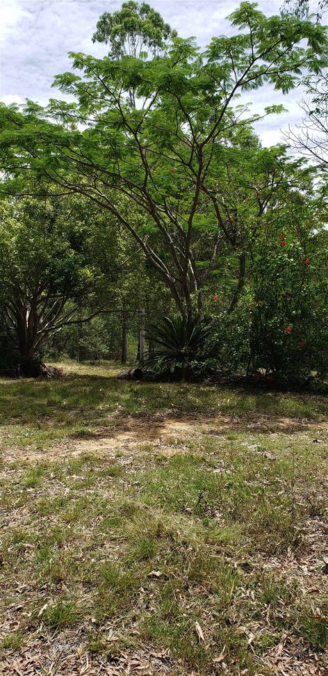 130 Arborthirty road, Glenwood QLD 4570 Vacant Land for Sale 525,000