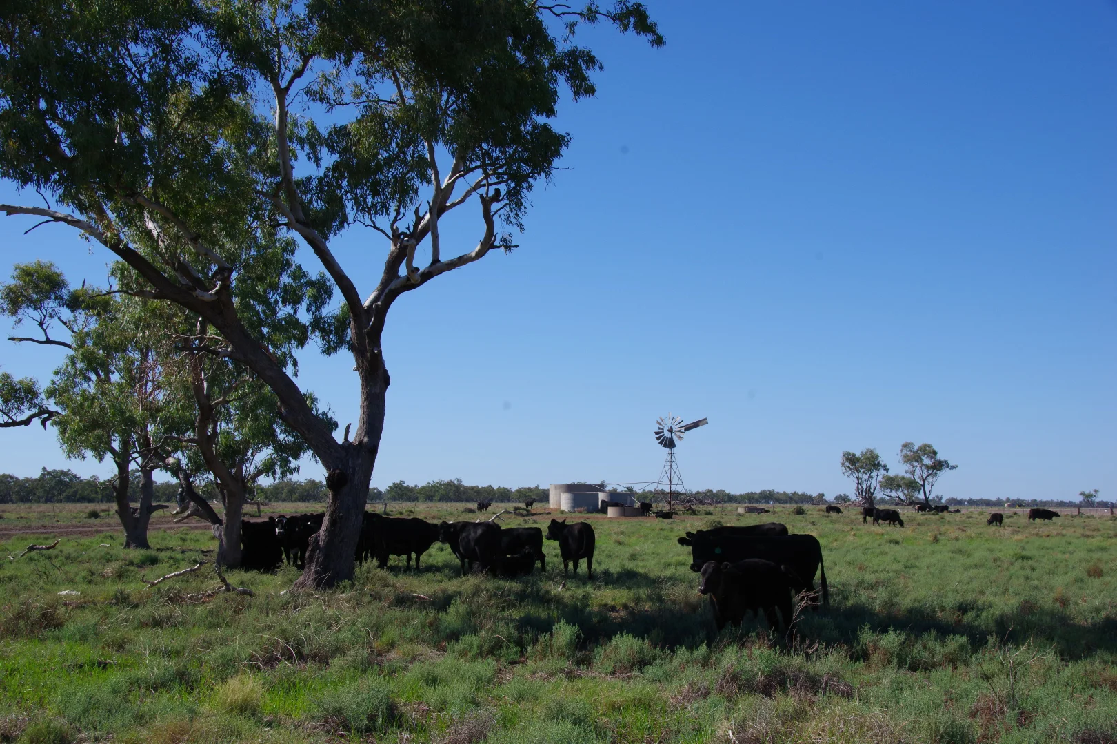 Additional image 18 of . Sunnyside Lane, Wee Waa NSW 2388
