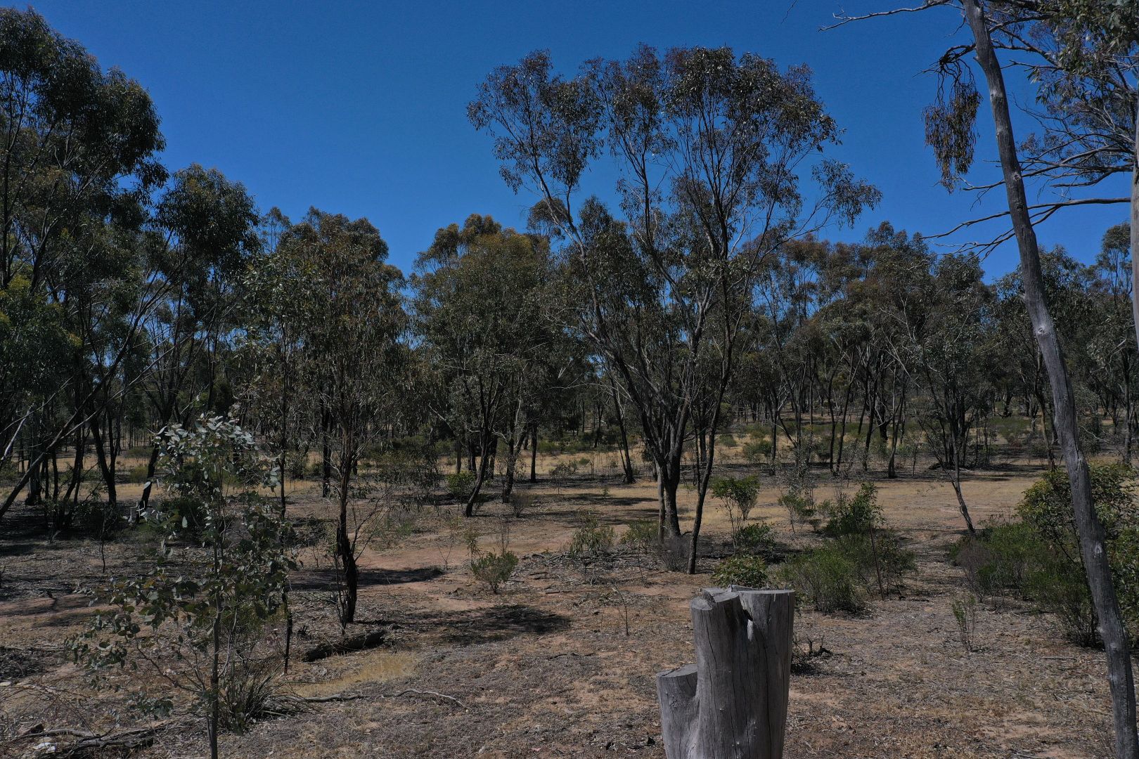 Lot 1 St Arnaud - Wycheproof Road, St Arnaud VIC 3478, Image 1