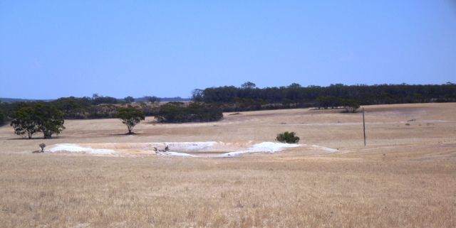 Tarin Rock Road, Tarin Rock, Lake Grace WA 6353, Image 0