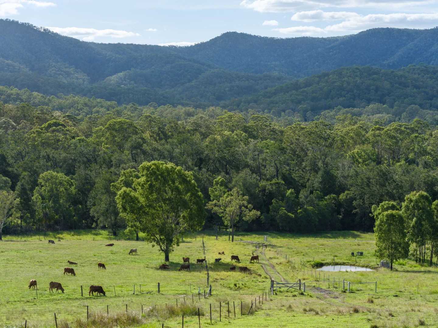 Additional image 36 of Widgee QLD 4570