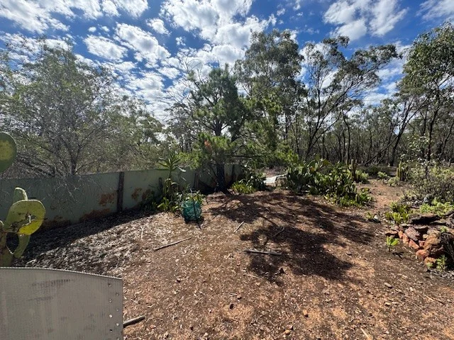 Image 14