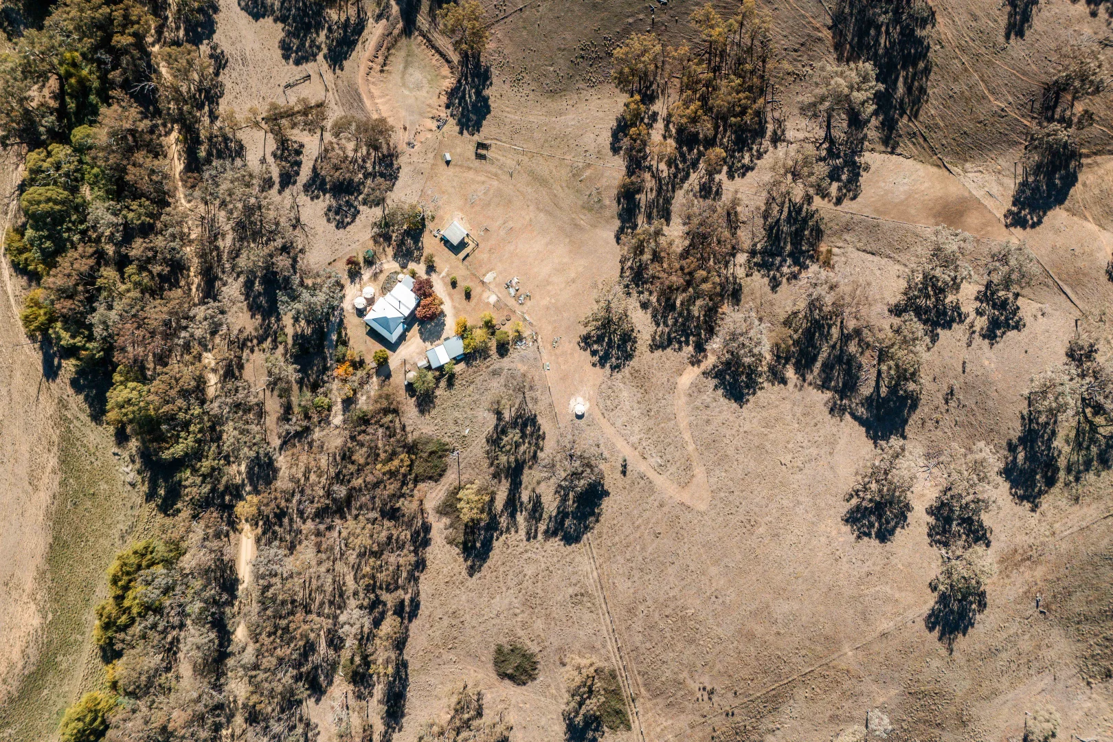 Image 23