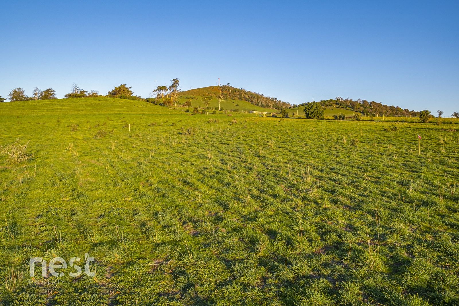 Lot 20 Saltwater Rise, Seven Mile Beach TAS 7170, Image 1