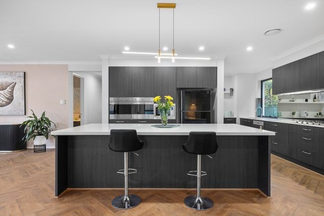 337 Marshall Road Tarragindi 4121 - Image 5