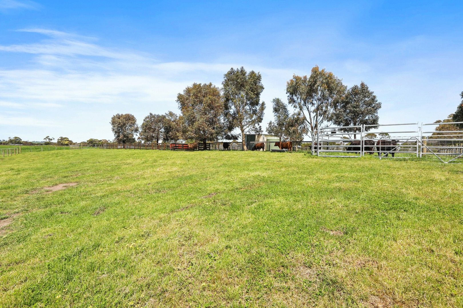 67 Enticott Road, Bunyip VIC 3815 House for Sale Domain