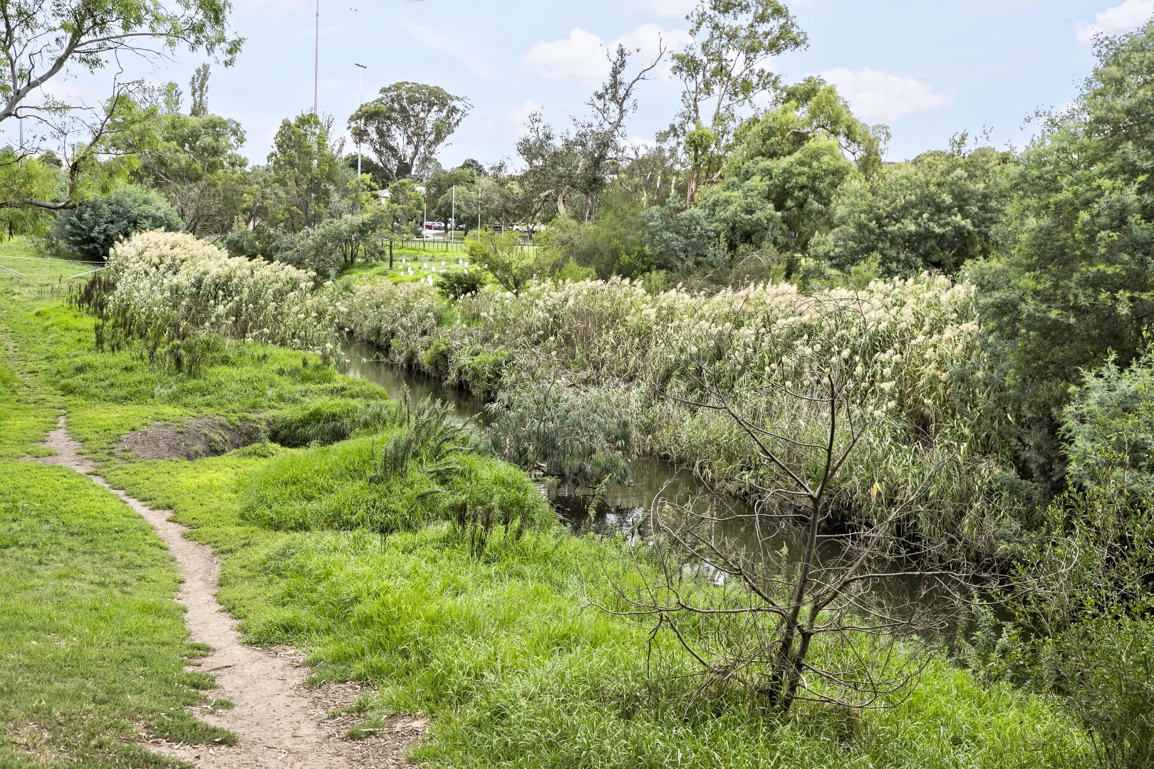 Additional image 21 of 30 Cole Crescent, Coburg VIC 3058