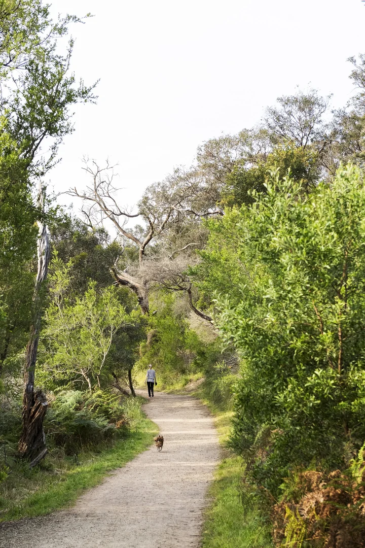 Additional image 10 of 163 Nepean Highway, Seaford VIC 3198