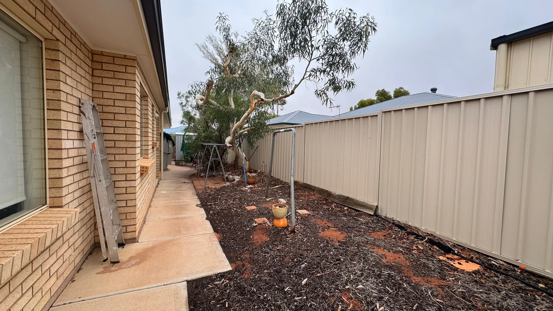 Image 30