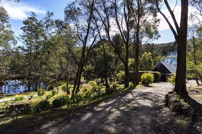 Picture of 1300 Browns Creek Road, BAKERS BEACH TAS 7307