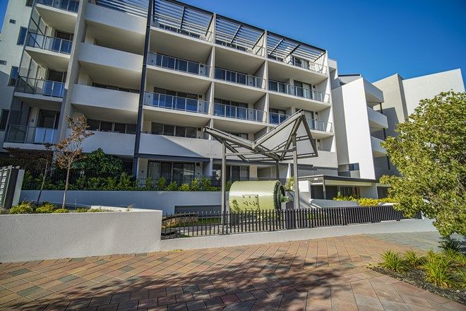 48 1 Bedroom Apartments For Sale In Subiaco Wa 6008 Domain