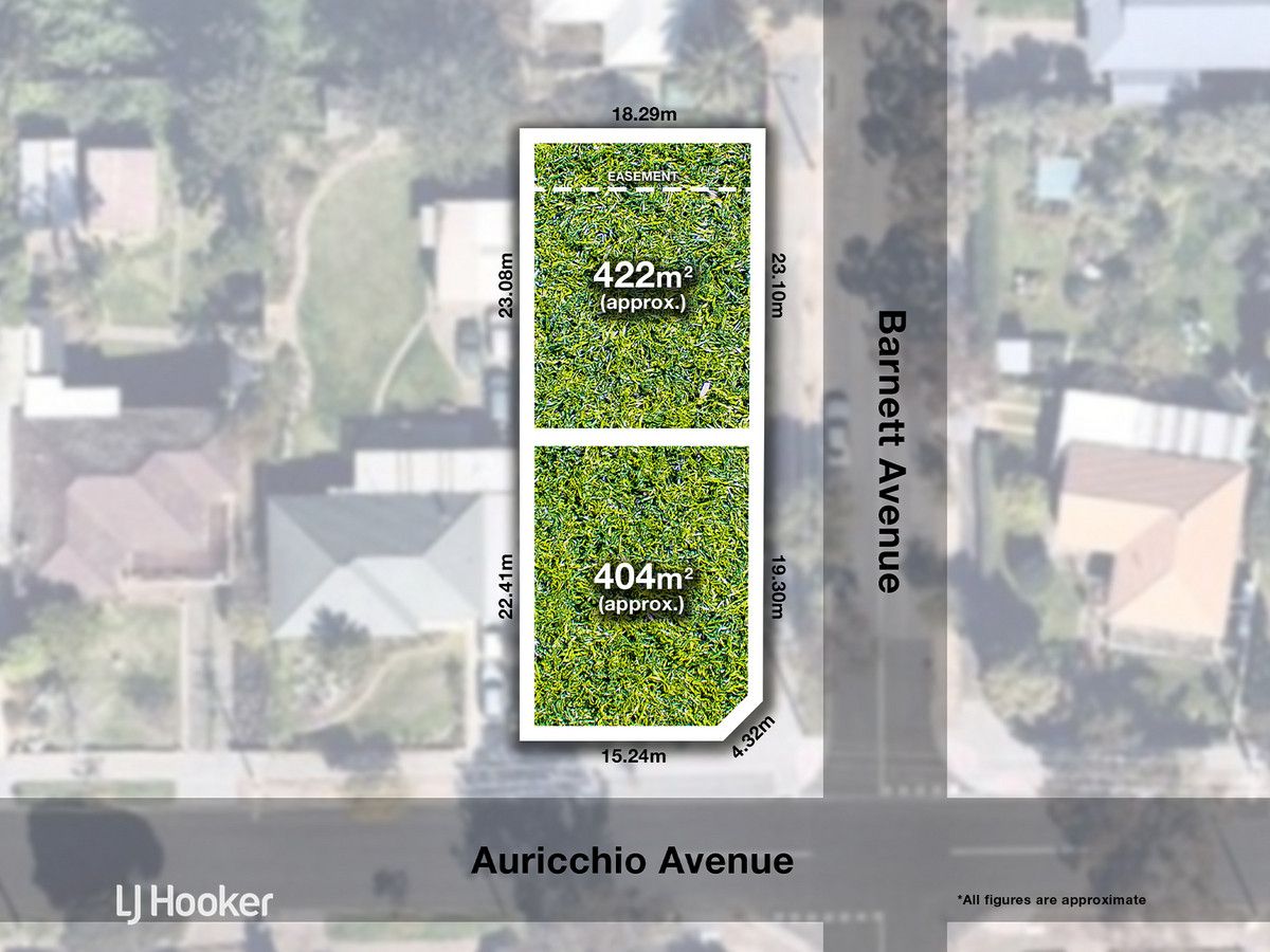 lot 701, 62 Auricchio Avenue, St Marys SA 5042, Image 2