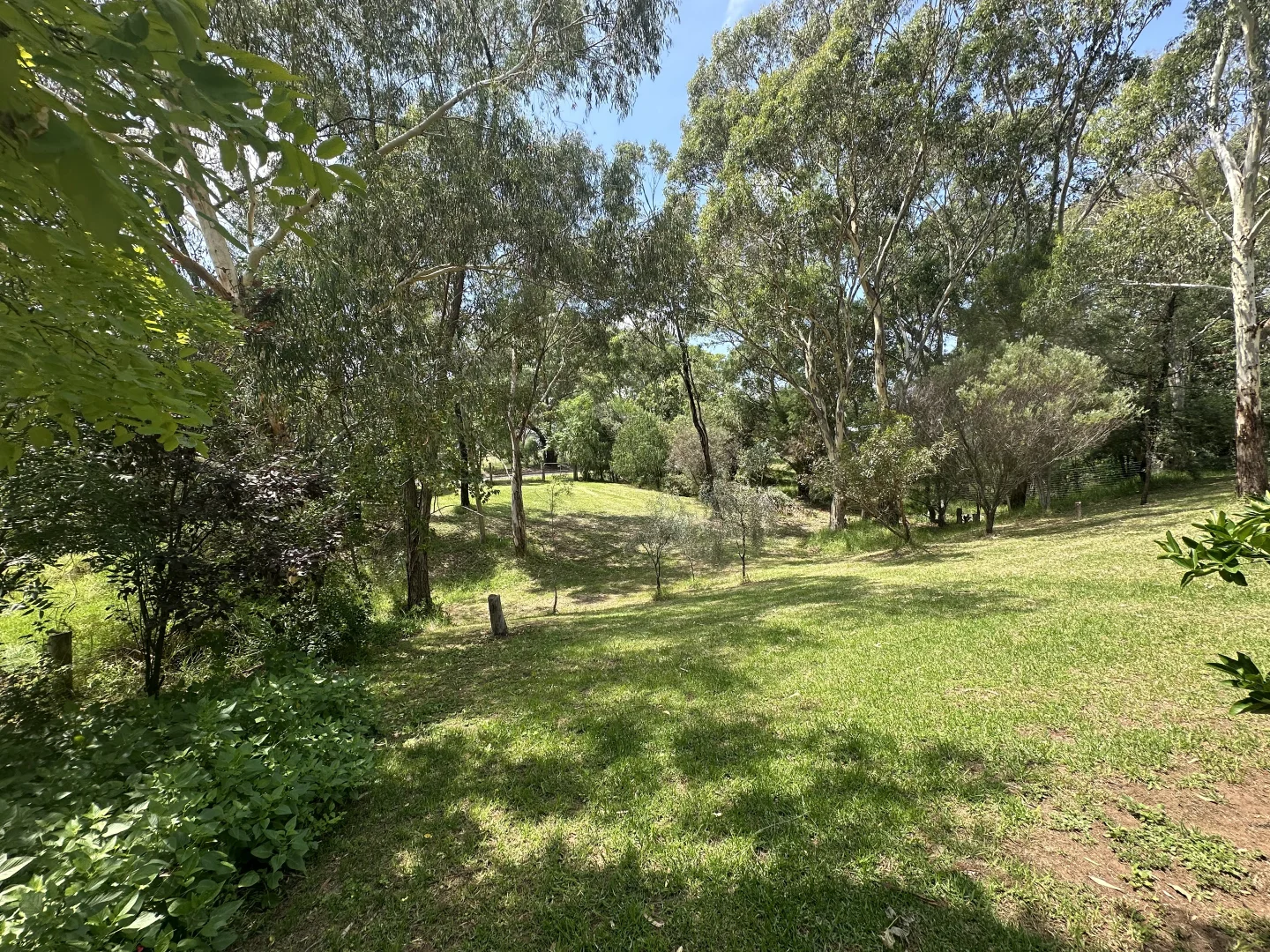 Image 28