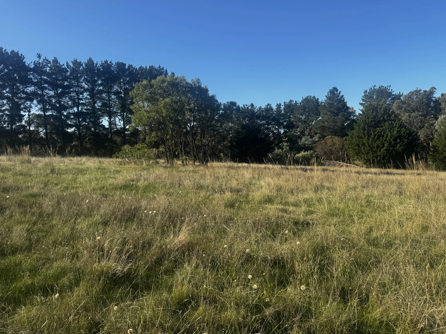 Image 13