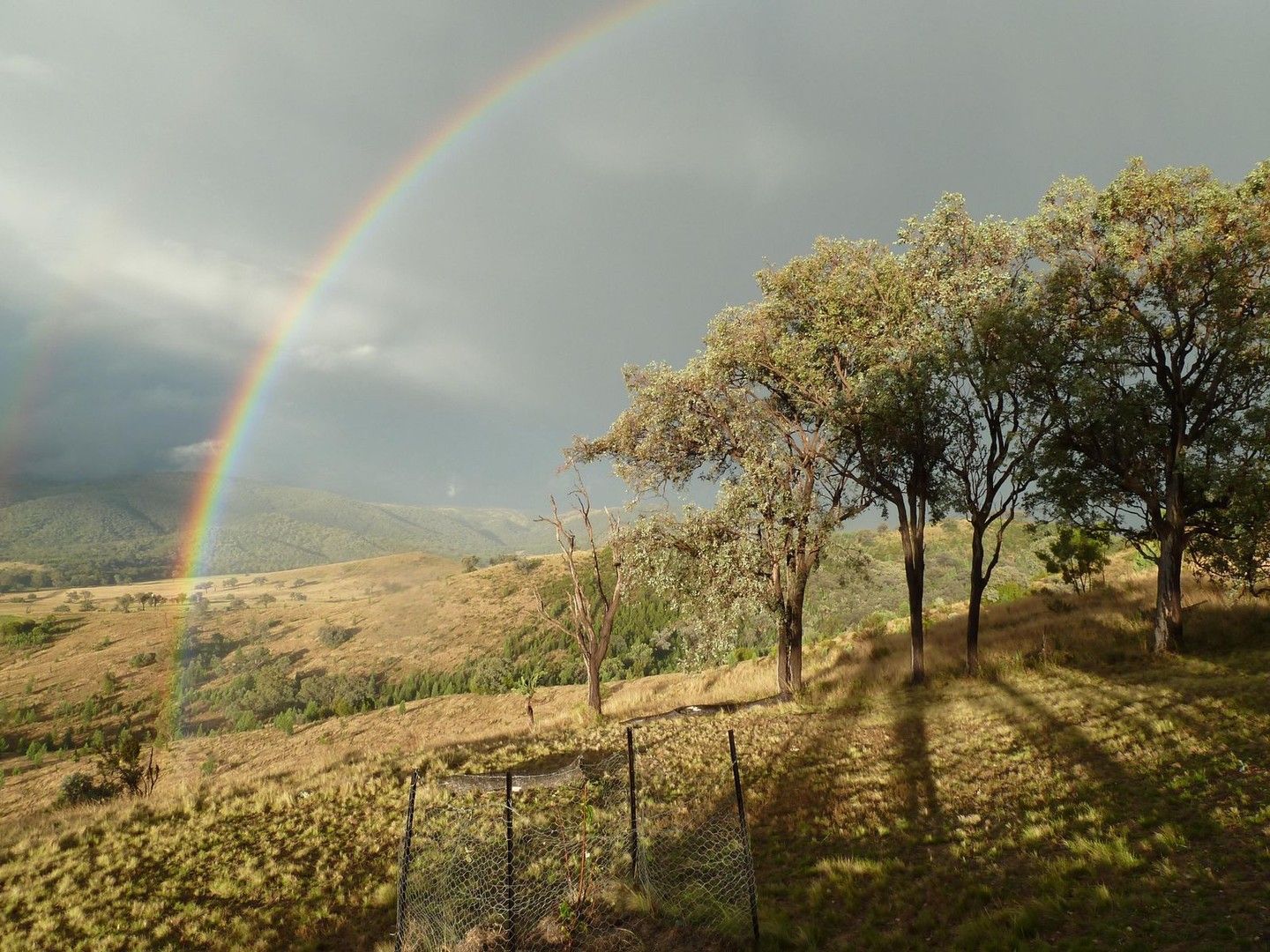 Lot 41 Stone Lane, Tenterfield NSW 2372, Image 0