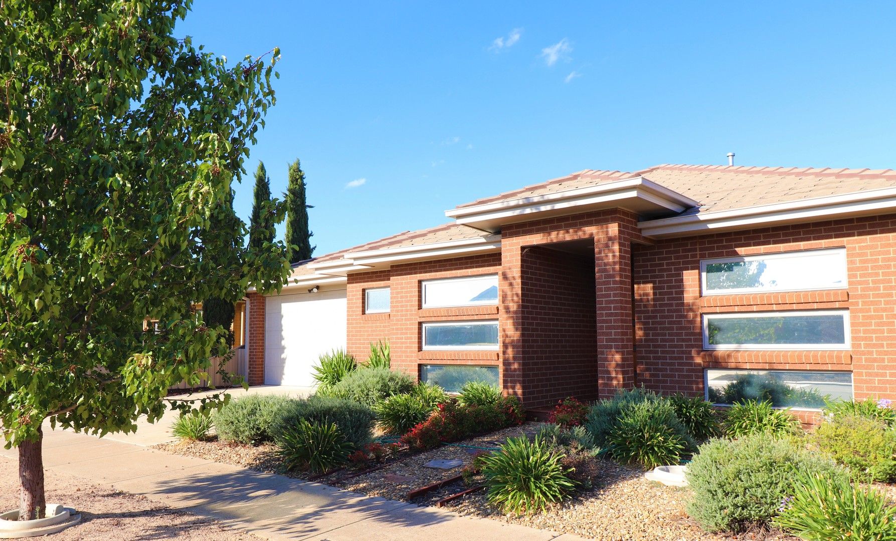 17 Howell Drive, Echuca VIC 3564 House For Rent Domain