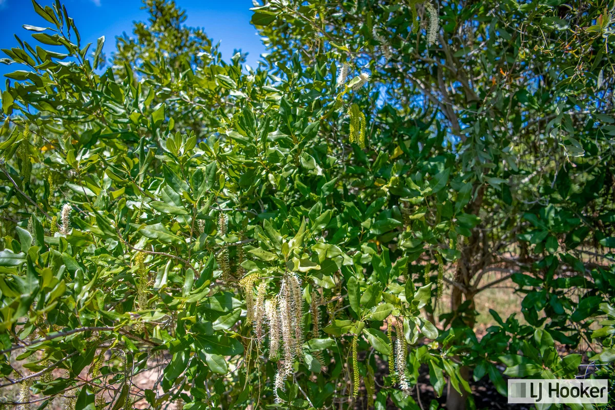 Additional image 18 of Meadowvale QLD 4670