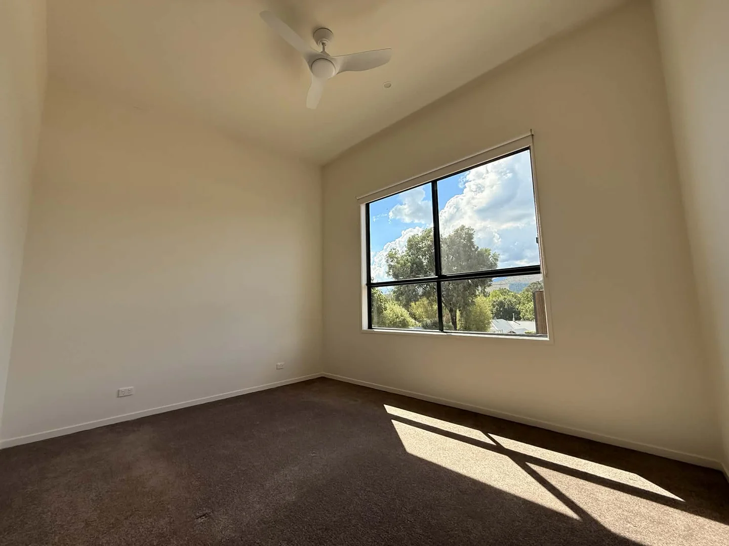 Additional image 8 of Bright VIC 3741