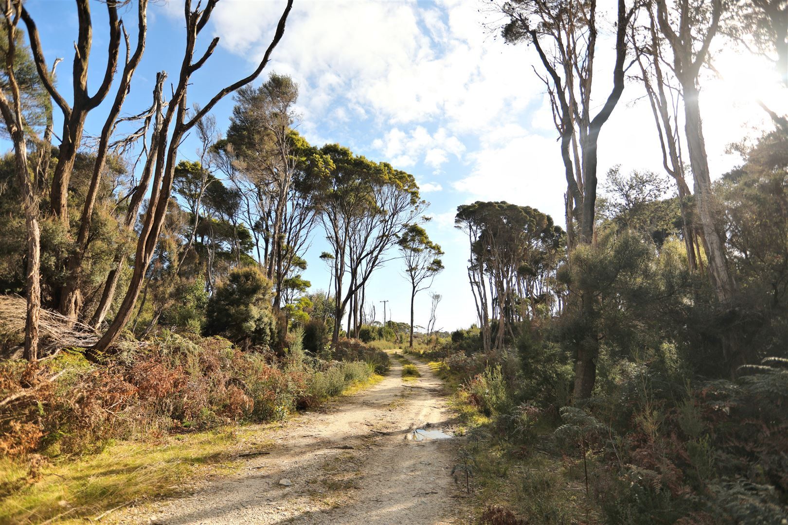 575 Grassy Road, Nugara TAS 7256, Image 1