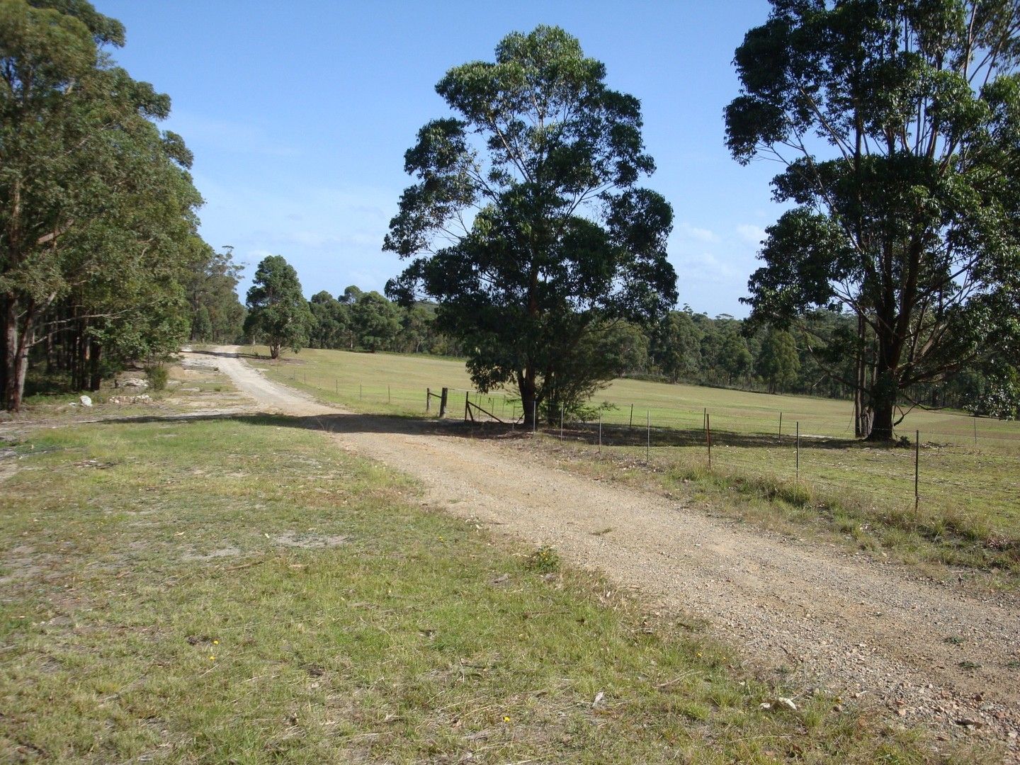 Orbost VIC 3888, Image 0