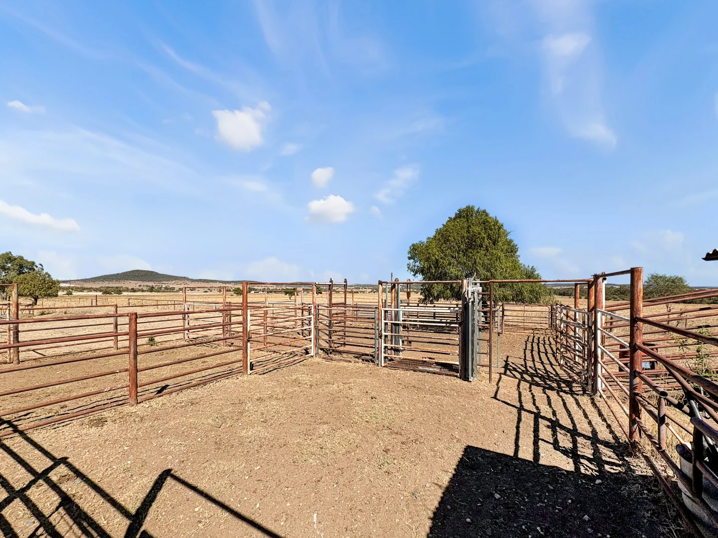 Additional image 13 of 8681 Oxley Highway, Gunnedah NSW 2380