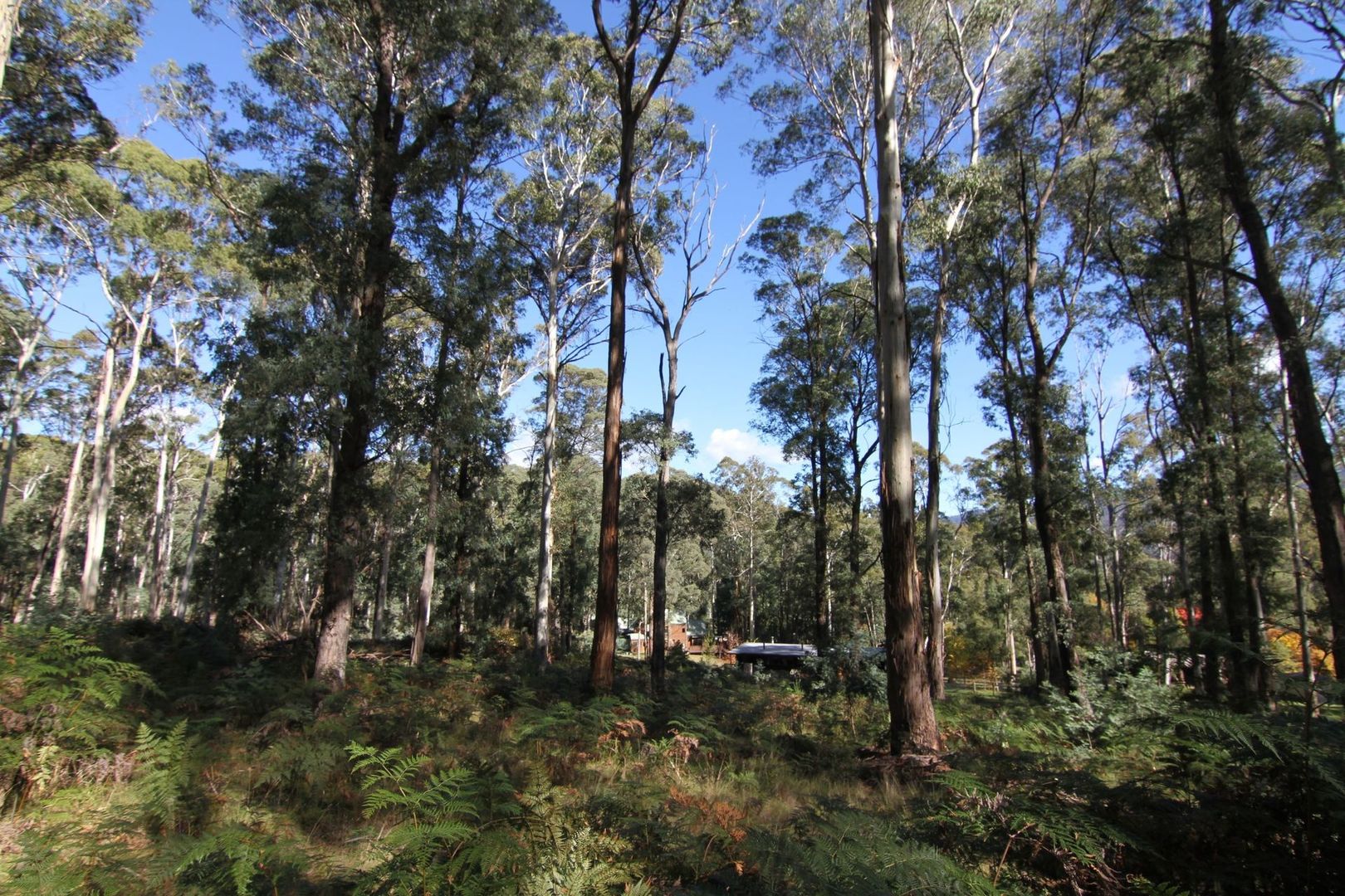 Lot 1 Dredge Hole Lane, Harrietville VIC 3741, Image 2