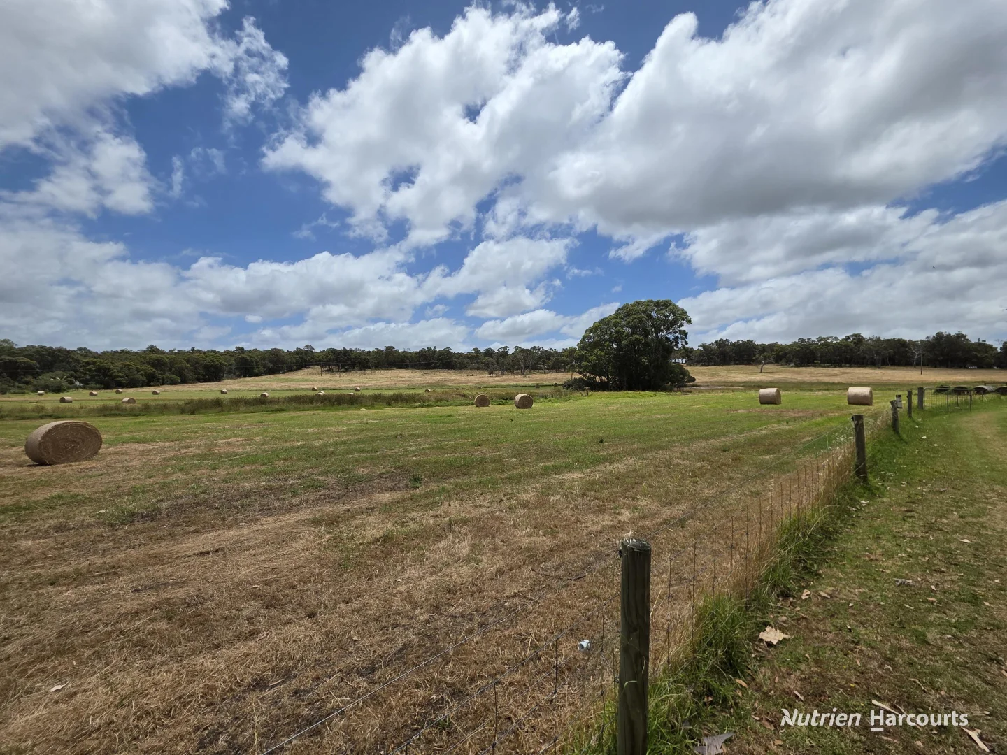 Image 25