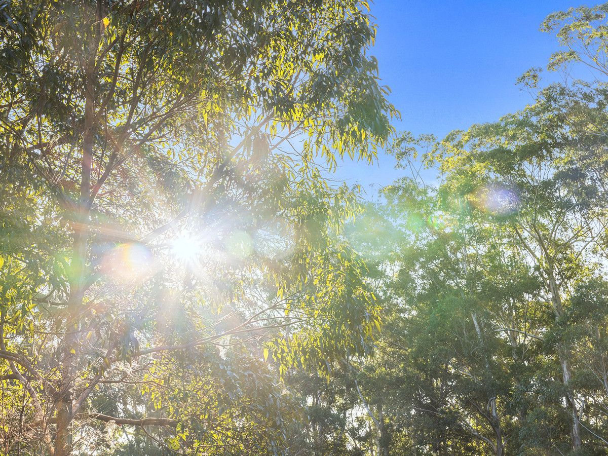 Mapleton QLD 4560 House for Sale Domain