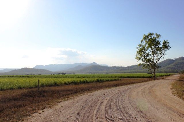 Lot 1 Scotts Road, Lannercost QLD 4850, Image 2