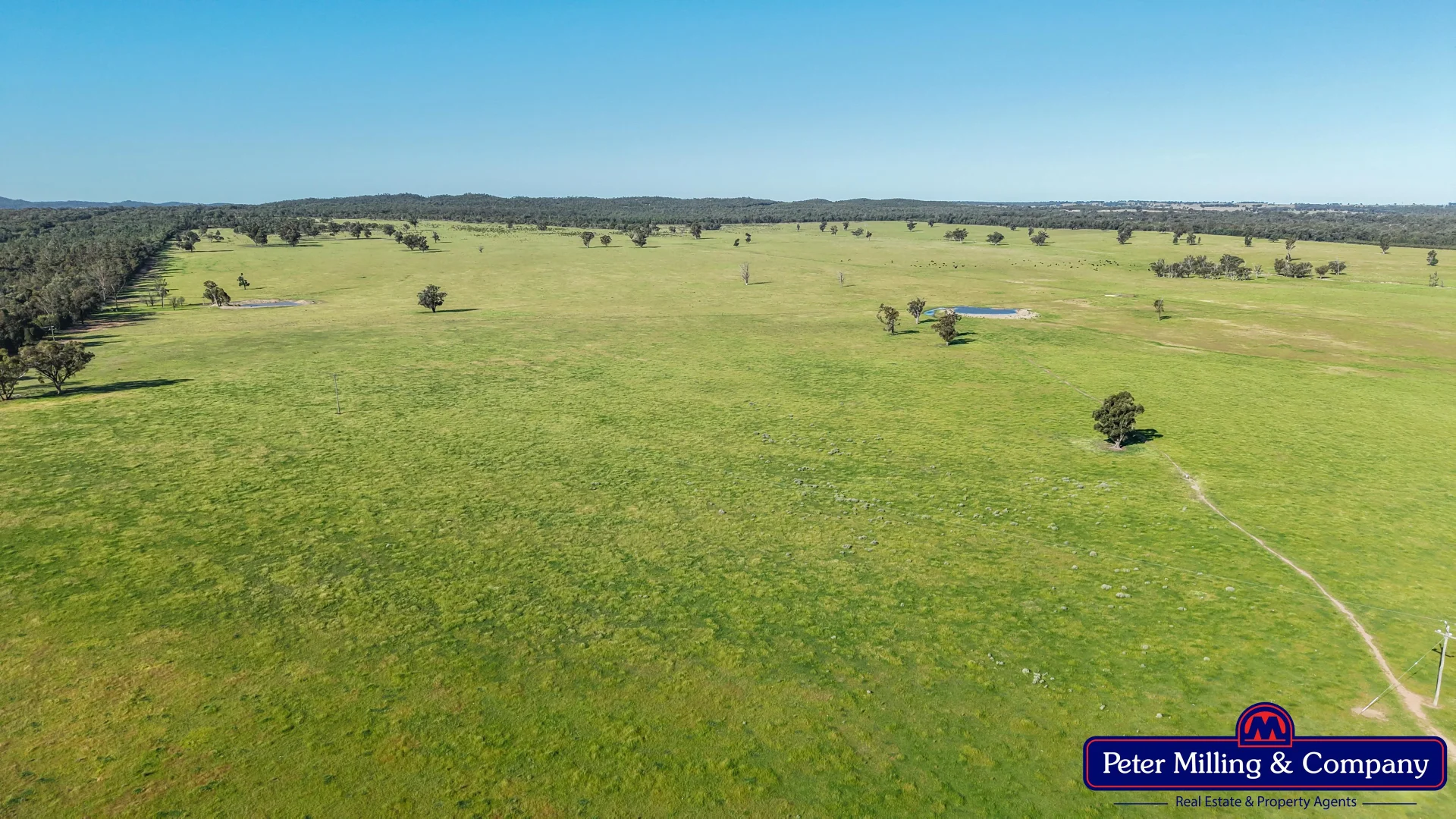 Additional image 8 of "Katella" 7878 Newell Highway, Tomingley NSW 2869